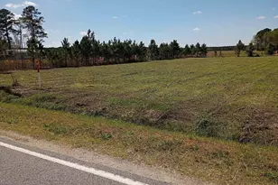 3027 Hwy 58 N, Trenton, NC 28585 - Photo 2