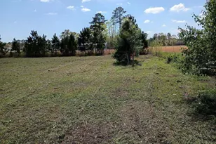 3027 Hwy 58 N, Trenton, NC 28585 - Photo 4