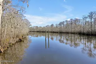 7165 Old Stump Dr SE, Leland, NC 28451 - Photo 40
