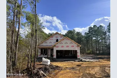 Lot 3 Peach Court, Burgaw, NC 28425 - Photo 2