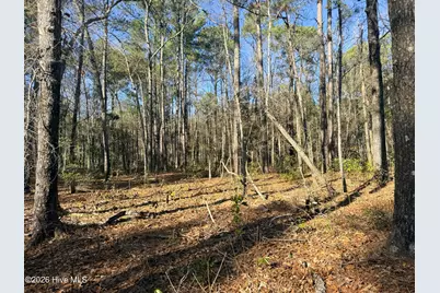 Lot 7 Peach Court, Burgaw, NC 28425 - Photo 32