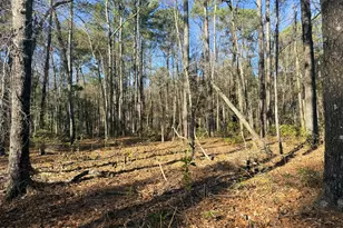 Lot 7 Peach Ct, Burgaw, NC 28425 - Photo 32