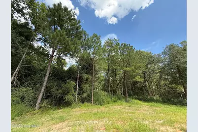 263 Strother Road, Aberdeen, NC 28315 - Photo 16