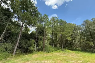 263 Strother Rd, Aberdeen, NC 28315 - Photo 16