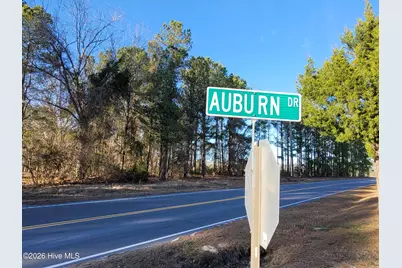 Tbd Log Cabin Road, Loris, SC 29569 - Photo 2