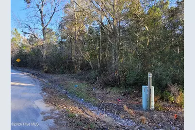 Tbd Log Cabin Road, Loris, SC 29569 - Photo 6