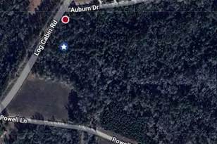 Tbd Log Cabin Rd, Loris, SC 29569 - Photo 1