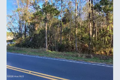 Tbd Log Cabin Road, Loris, SC 29569 - Photo 4