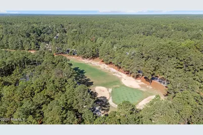 28880 Deercroft Drive, Wagram, NC 28396 - Photo 48