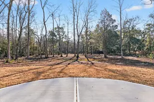 1880 Healing Water Ln SW, Supply, NC 28462 - Photo 38