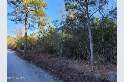 Tbd Lot 3 Auburn Drive, Loris, SC 29569 - Photo 1