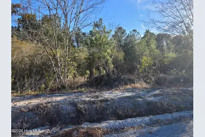 Tbd Lot 4 Auburn Drive, Loris, SC 29569 - Photo 4