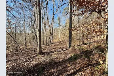 666 Solomon Road, Prospect Hill, NC 27314 - Photo 26