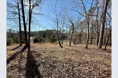 666 Solomon Road, Prospect Hill, NC 27314 - Photo 22