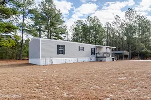 52 Paul Cromartie Ln, Harrells, NC 28444 - Photo 2