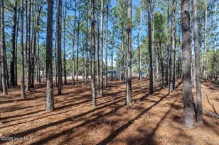 52 Paul Cromartie Ln, Harrells, NC 28444 - Photo 30