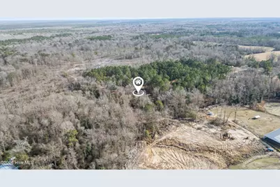 371 Harley Drive, Willard, NC 28478 - Photo 46