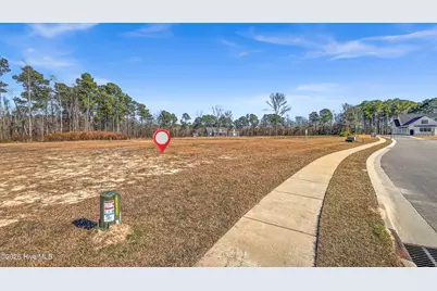 31 Dragonfly Lane, Hampstead, NC 28443 - Photo 6