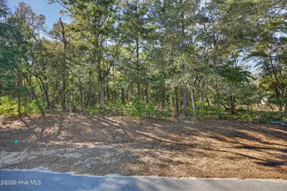 3326 Four Water View SW, Supply, NC 28462 - Photo 10