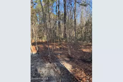 123 James Drive, West End, NC 27376 - Photo 1
