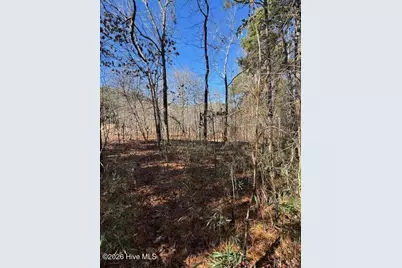 123 James Drive, West End, NC 27376 - Photo 6