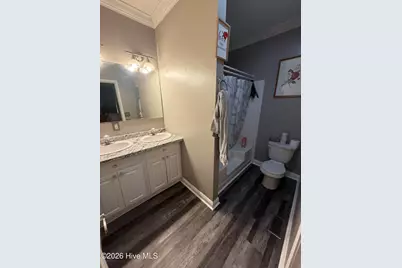 848 Pinewood Road, Fairmont, NC 28340 - Photo 10