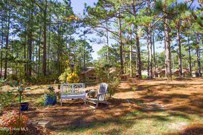 642 Redwood Drive, Southern Pines, NC 28387 - Photo 48