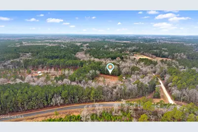 65 Old Blakes Bridge Road, Burgaw, NC 28425 - Photo 22