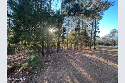 65 Old Blakes Bridge Road, Burgaw, NC 28425 - Photo 2
