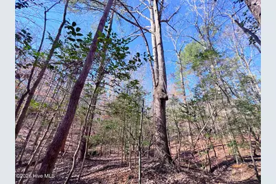 0 Nc 98 Highway, Spring Hope, NC 27882 - Photo 34