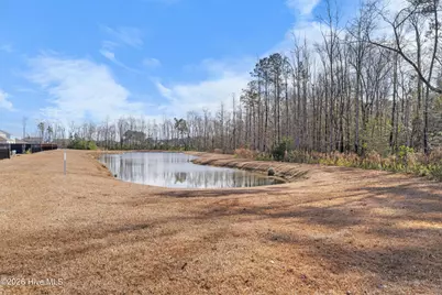 776 Buckeye Road NE, Leland, NC 28451 - Photo 34