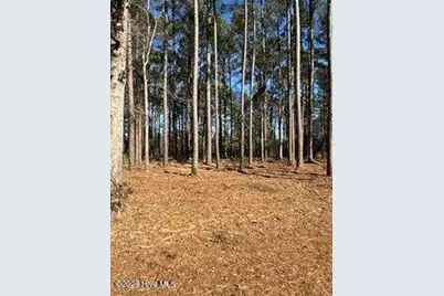 8 Pitch Kettle Court, Belhaven, NC 27810 - Photo 10