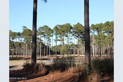 608 Barrington Place SW, Ocean Isle Beach, NC 28469 - Photo 2