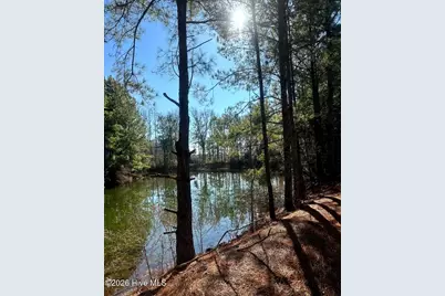 3984 Pocosin Road, Lake Waccamaw, NC 28450 - Photo 50