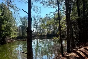 3984 Pocosin Rd, Lake Waccamaw, NC 28450 - Photo 50