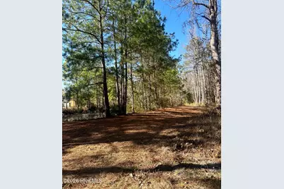 3984 Pocosin Road, Lake Waccamaw, NC 28450 - Photo 52
