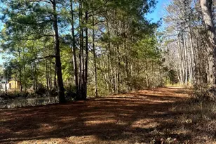 3984 Pocosin Rd, Lake Waccamaw, NC 28450 - Photo 52