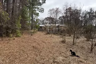 3414 Possum Hill Rd, Bath, NC 27808 - Photo 22