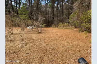 3414 Possum Hill Road, Bath, NC 27808 - Photo 18