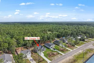 251 Cougar Rd, Southport, NC 28461 - Photo 56