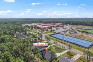 251 Cougar Rd, Southport, NC 28461 - Photo 60