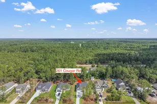 261 Cougar Rd, Southport, NC 28461 - Photo 58