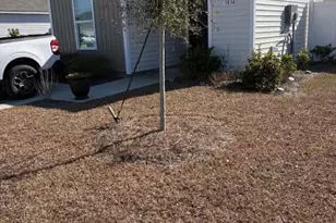 3834 Lady Bug Dr, Shallotte, NC 28470 - Photo 2