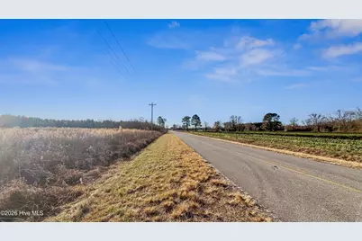 700 Acres Earl Davis Road, Rose Hill, NC 28458 - Photo 10