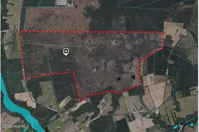 700 Acres Earl Davis Road, Rose Hill, NC 28458 - Photo 8