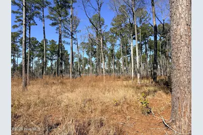 0 Sr 1119 Off, Chocowinity, NC 27817 - Photo 2