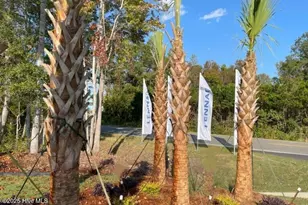 3366 Wood Stork Dr, Ocean Isle Beach, NC 28469 - Photo 22