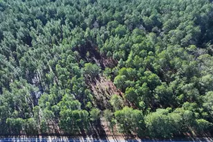 Tbd Nc Hwy 130 Rd, Fairmont, NC 28340 - Photo 1