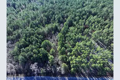 Tbd Stuarts Mill Road, Fairmont, NC 28340 - Photo 1