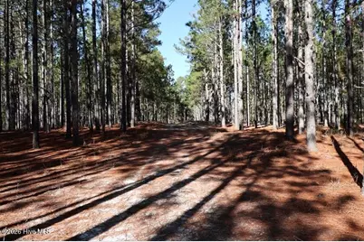 Tbd Nc Hwy 130 Road, Fairmont, NC 28340 - Photo 10